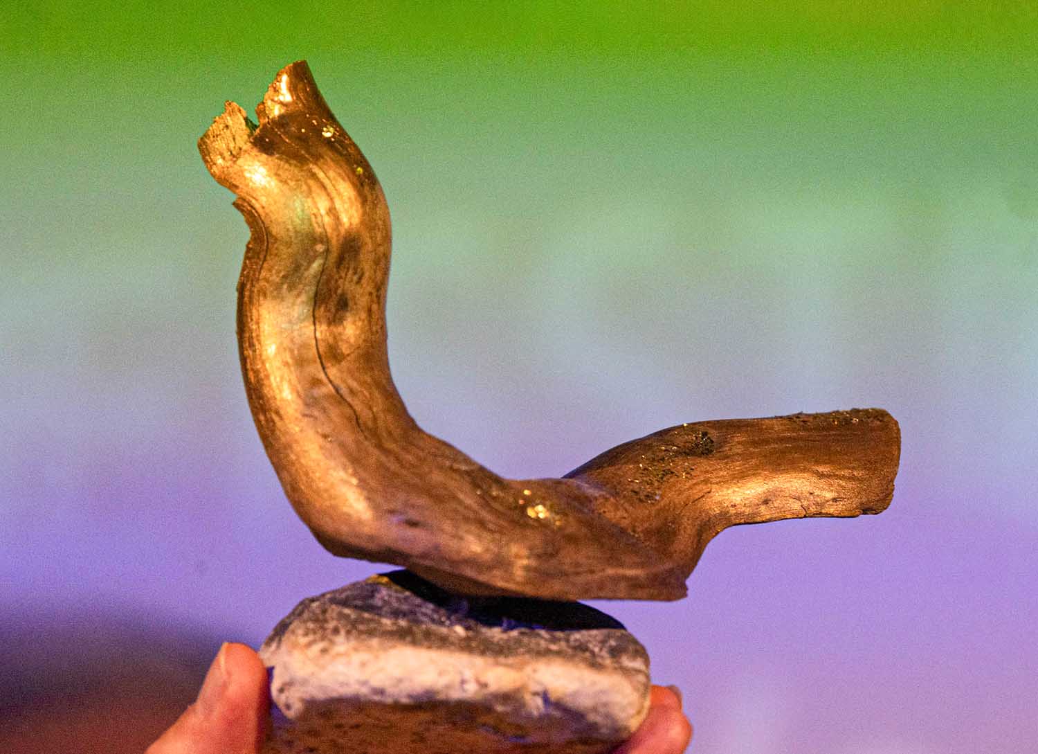 FSFF 2023 Gewinner Kurzfilmpreis